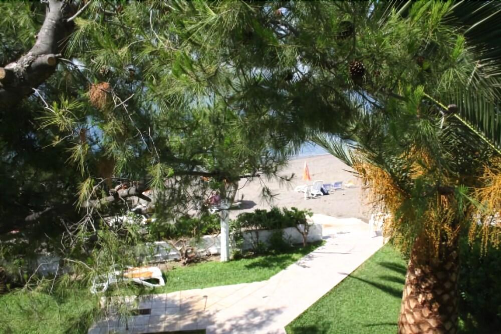 Posidonia Pension Amarynthos Exterior photo