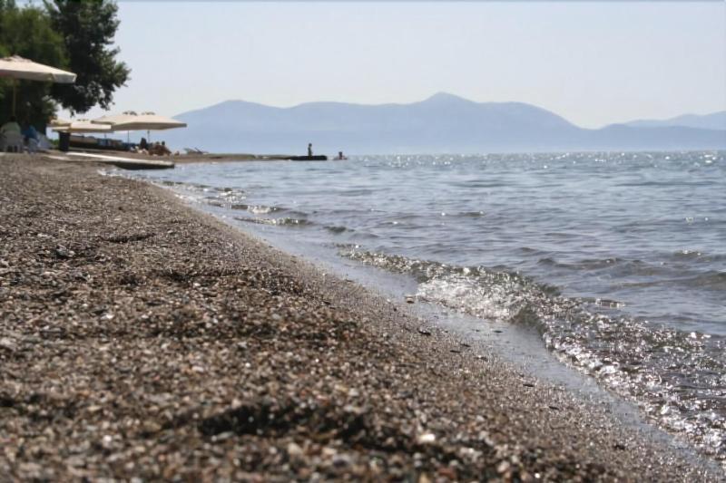 Posidonia Pension Amarynthos Exterior photo