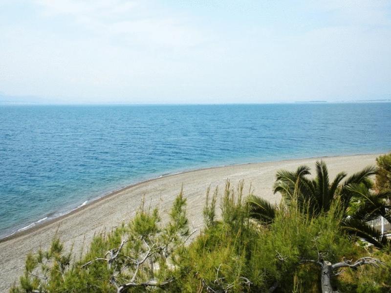 Posidonia Pension Amarynthos Exterior photo