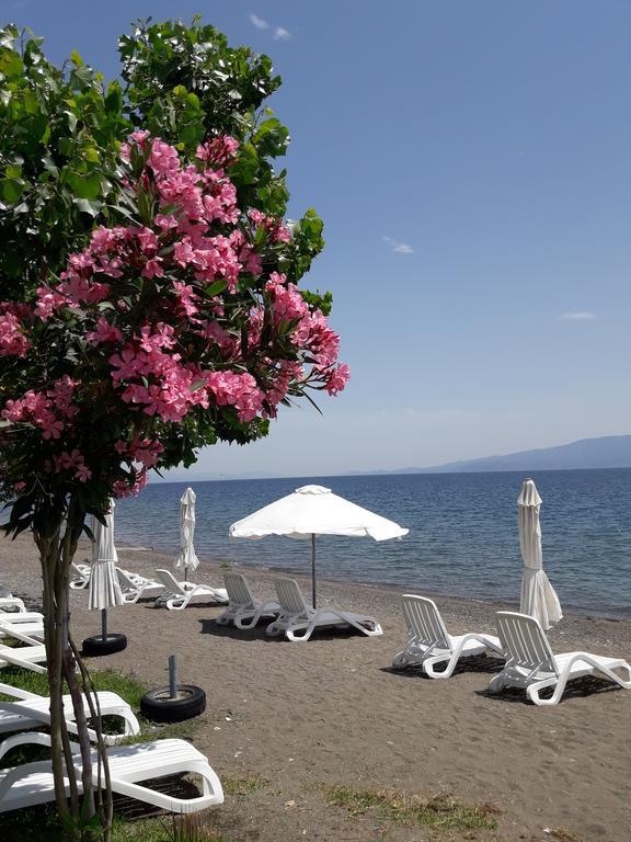 Posidonia Pension Amarynthos Exterior photo